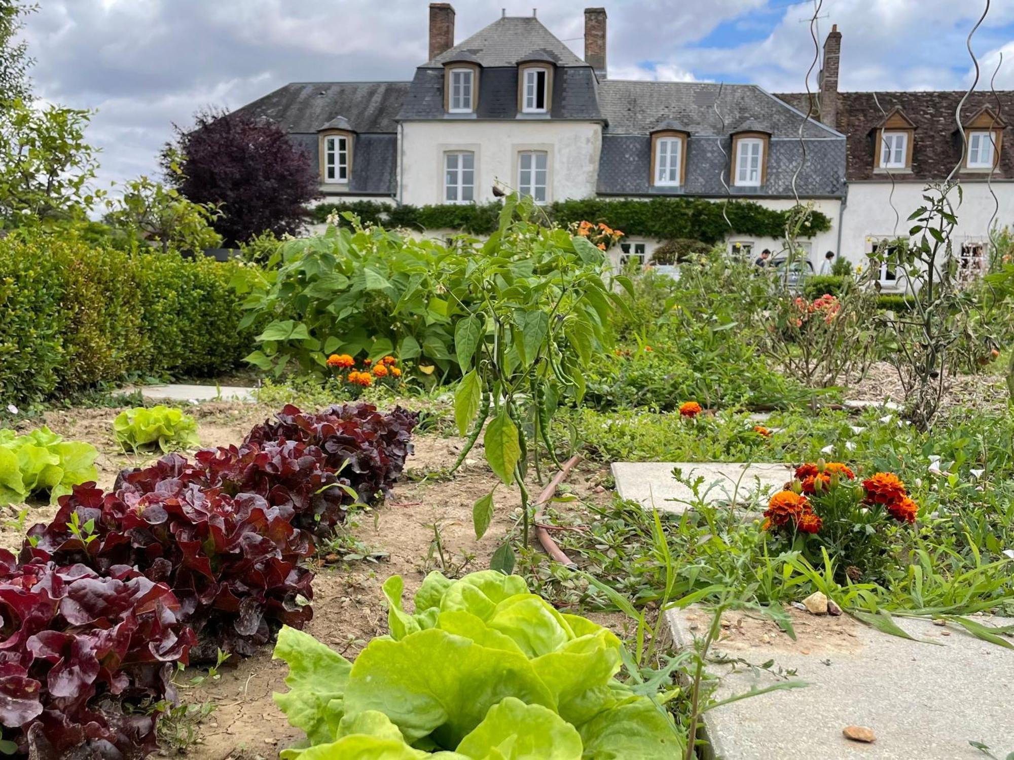 **Suite Familiale Spacieuse Au Coeur De La Foret De Montargis** - Fr-1-590-335 Paucourt Kültér fotó